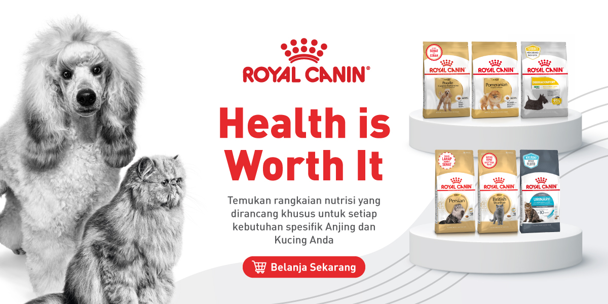Cat n dog e banner homepage 1200x600